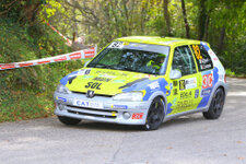 60.Rally del Friuli Venezia Giulia - 29.Rally Alpi Orientali Historic 60.Rally del Friuli Venezia Giulia - 29.Rally Alpi Orientali Historic<br />Andrea Chiuch - Lorenzo Lamanda Peugeot 106 Rallye<br />Foto: Paolo Drioli
