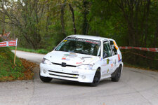 60.Rally del Friuli Venezia Giulia - 29.Rally Alpi Orientali Historic 60.Rally del Friuli Venezia Giulia - 29.Rally Alpi Orientali Historic<br />Simone Cossettini - Selena Ziani Peugeot 106 Rallye<br />Foto: Paolo Drioli