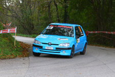 60.Rally del Friuli Venezia Giulia - 29.Rally Alpi Orientali Historic 60.Rally del Friuli Venezia Giulia - 29.Rally Alpi Orientali Historic<br />Fabrizio Colja - Corrado Canazza Peugeot 106 Rallye<br />Foto: Paolo Drioli